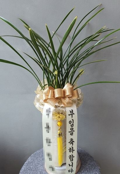 糭