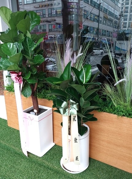 /Ϲݰ